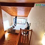 Orbis - 
